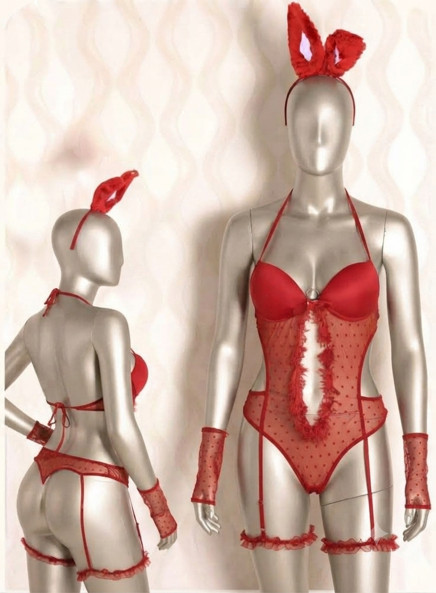 Costume Lingerie